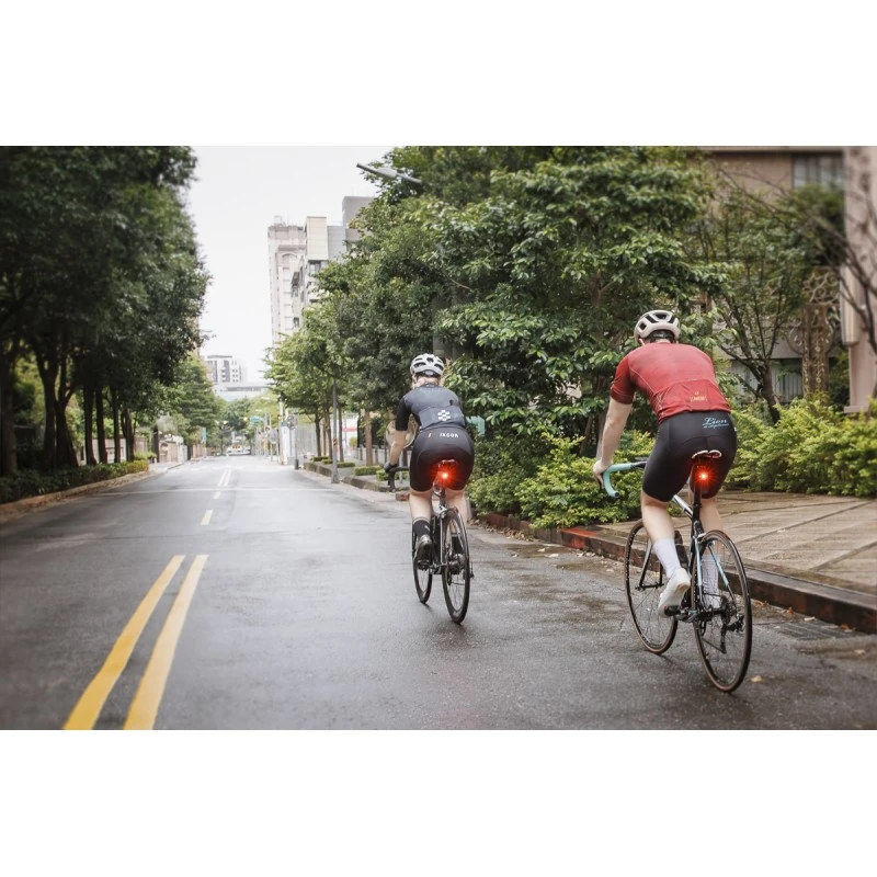 Luce Posteriore Con Radar BRYTON Gardia R300 5 Luce Posteriore Con Radar BRYTON Gardia R300 - immagine 3