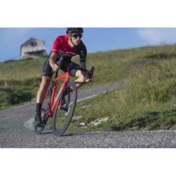 Pantaloncini Bici Ciclismo WILIER RIGO -Vendite Santini pantaloncini bici ciclismo wilier rigo 4